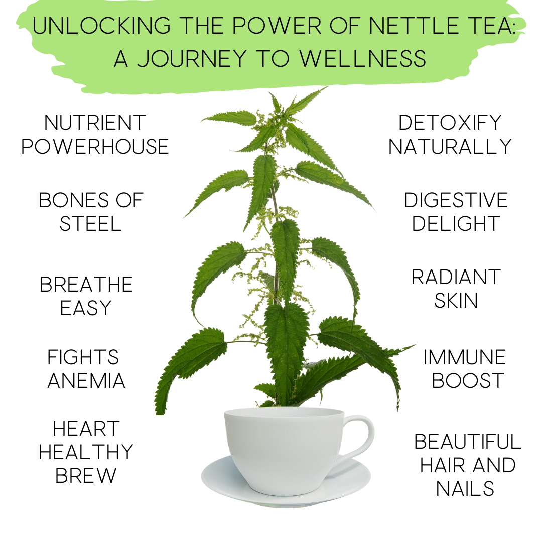 Nettle Herbal Tea Organic