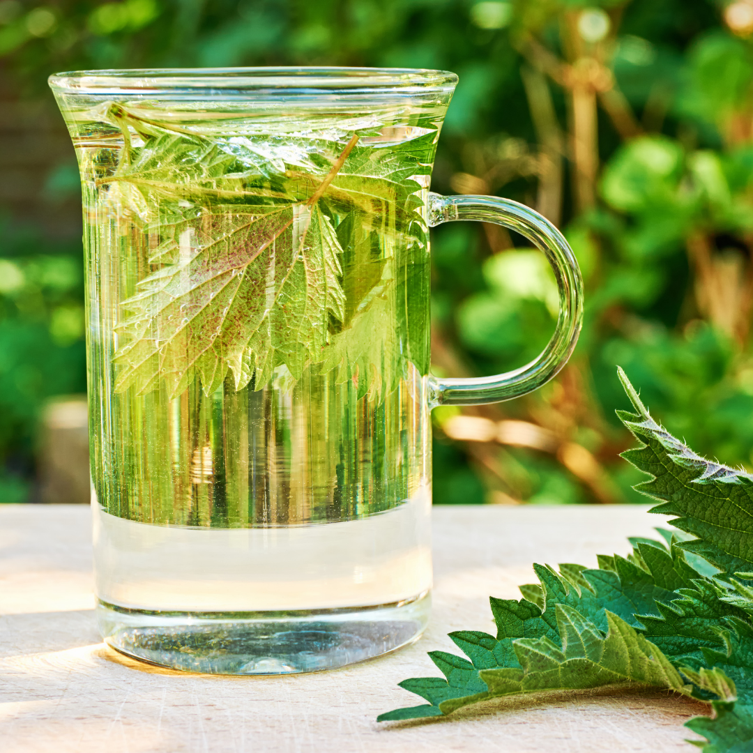 Nettle Herbal Tea Organic