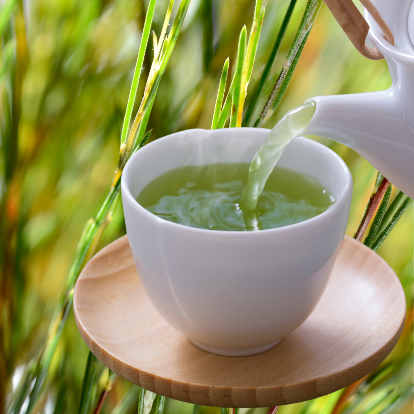 Green Rooibos Organic Fairtrade 20ct